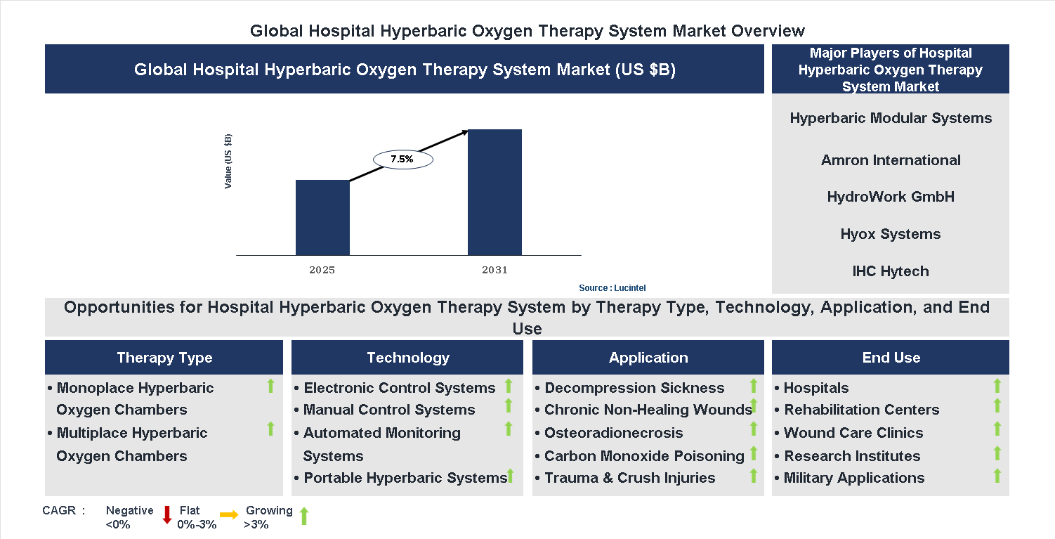 Hospital Hyperbaric Oxygen Therapy System Market Trends and Forecast