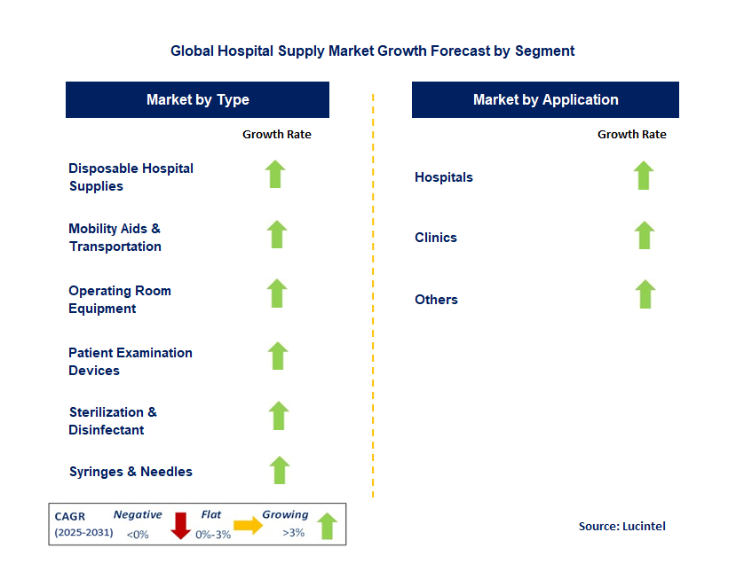 Hospital Supply Market by Segment
