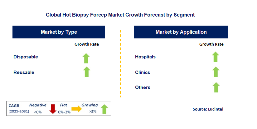 Hot Biopsy Forcep Market by Segment