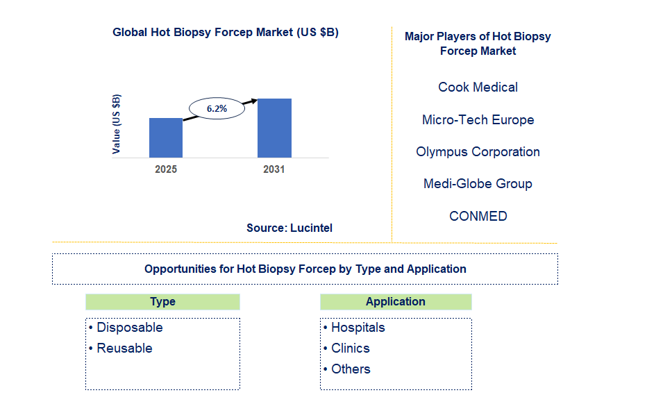 Hot Biopsy Forcep Market Trends and Forecast