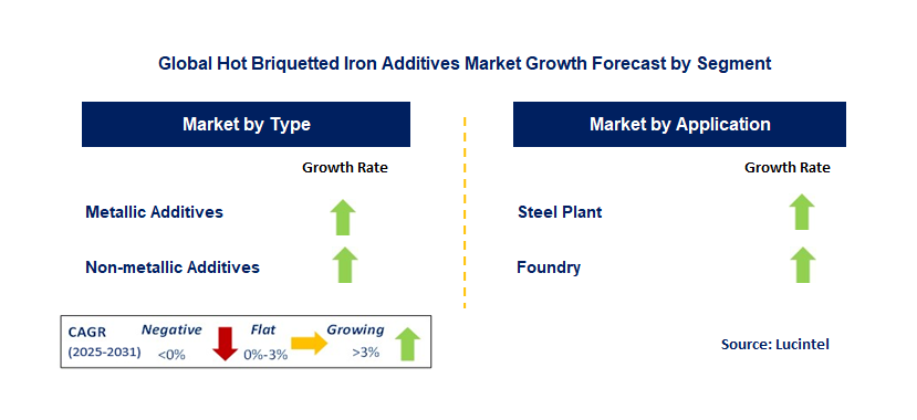 Hot Briquetted Iron Additives Market by Segment