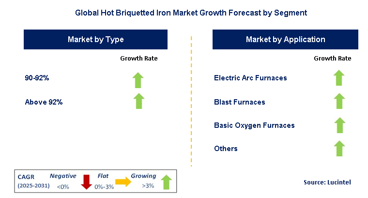 Hot Briquetted Iron Market by Segment