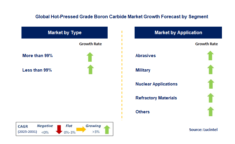 Hot-Pressed Grade Boron Carbide Market by Segment