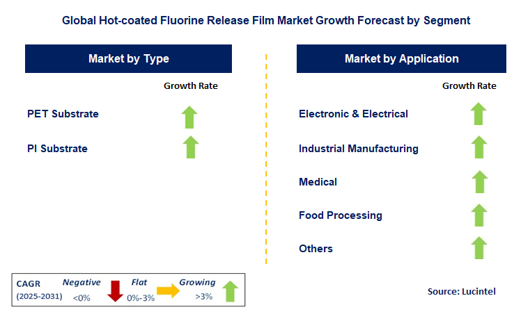 Hot-coated Fluorine Release Film Market by Segment