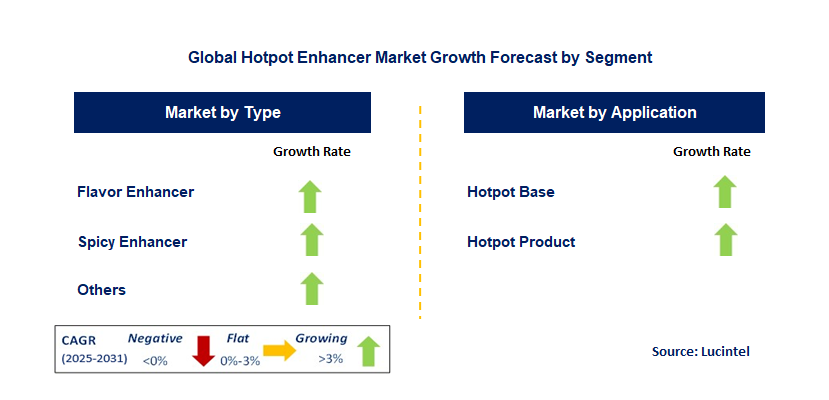 Hotpot Enhancer Market by Segment