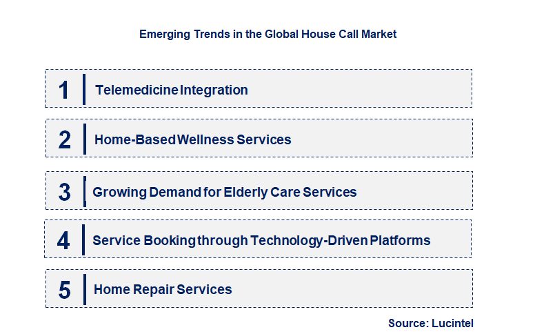 Emerging Trends in the House Call Market