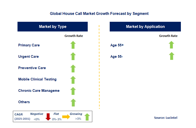 House Call Market by Segment