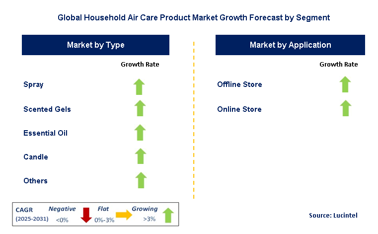 Household Air Care Product Market by Segment