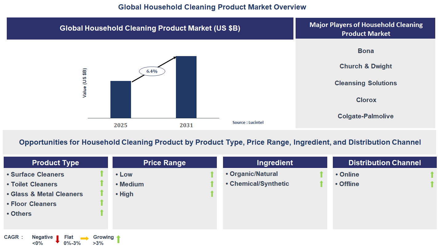 Household Cleaning Product Market Trends and Forecast