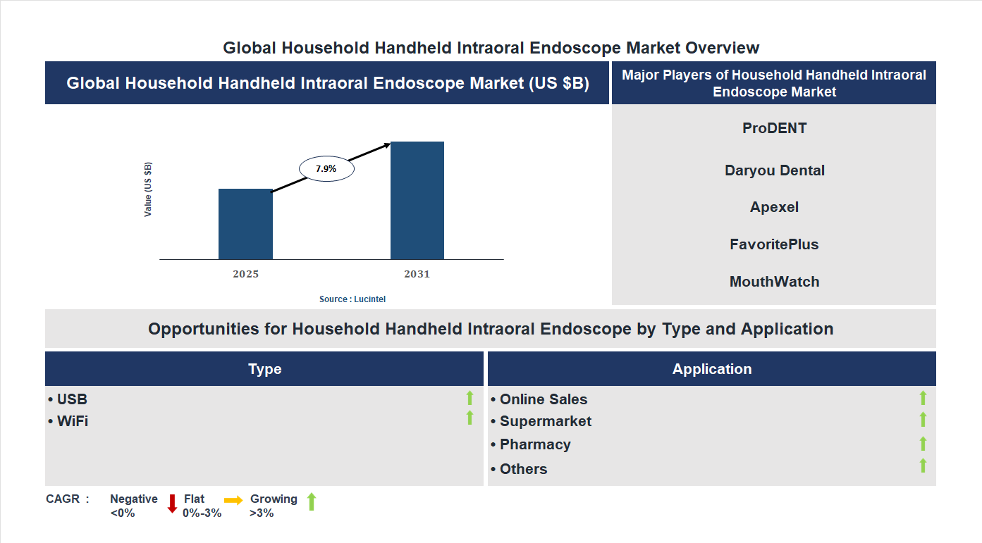 Household Handheld Intraoral Endoscope Market Trends and Forecast