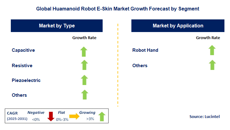 Huamanoid Robot E-Skin Market by Segment