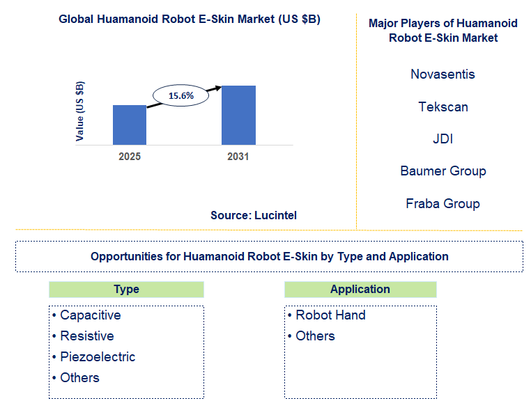 Huamanoid Robot E-Skin Market Trends and Forecast