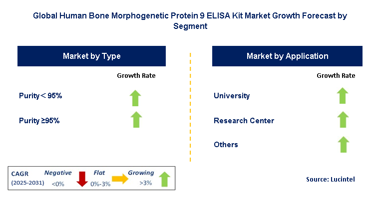 Human Bone Morphogenetic Protein 9 ELISA Kit Market by Segment