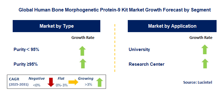 Human Bone Morphogenetic Protein-9 Kit Market by Segment