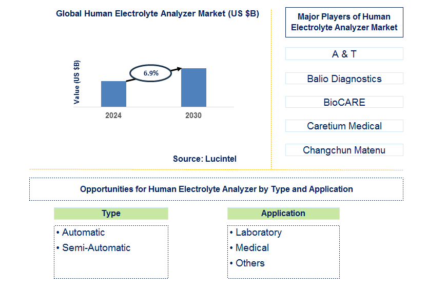 Human Electrolyte Analyzer Trends and Forecast