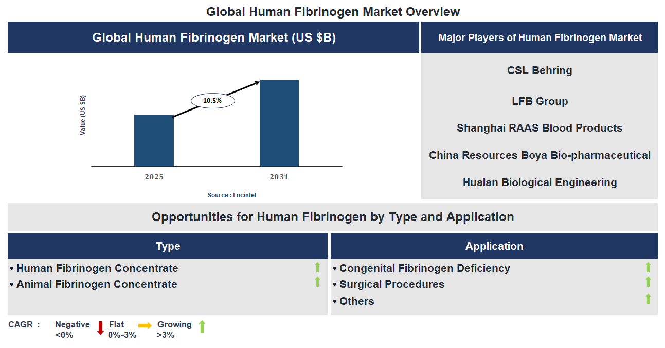Human Fibrinogen Market Trends and Forecast