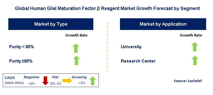 Human Glial Maturation Factor β Reagent Market by Segment