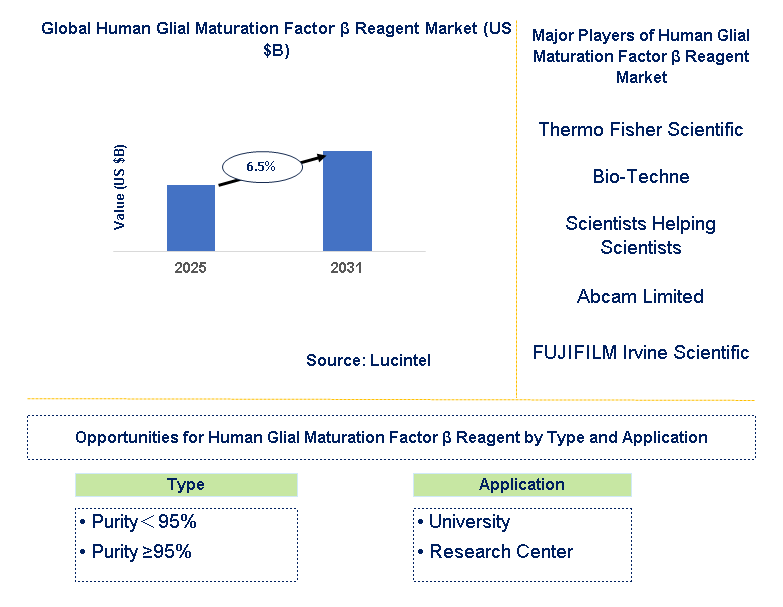 Human Glial Maturation Factor β Reagent Market Trends and Forecast