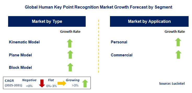Human Key Point Recognition Market by Segment