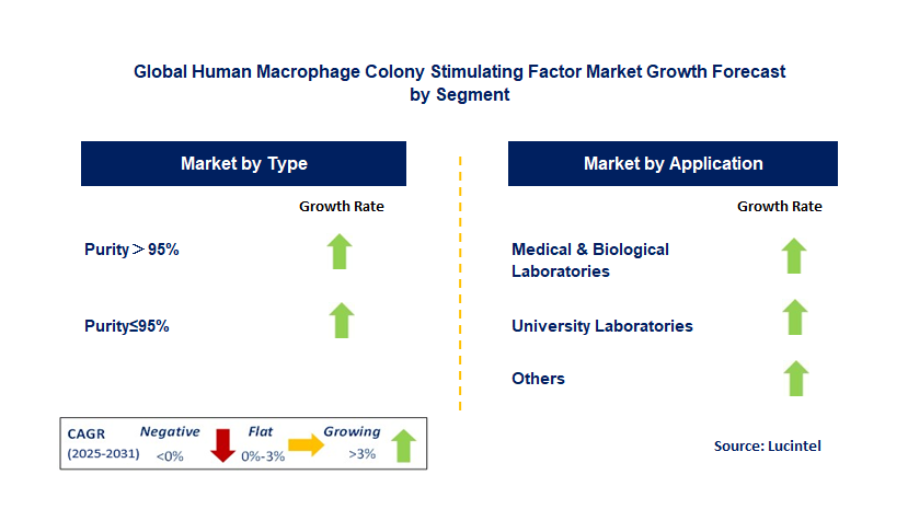 Human Macrophage Colony Stimulating Factor Market by Segment