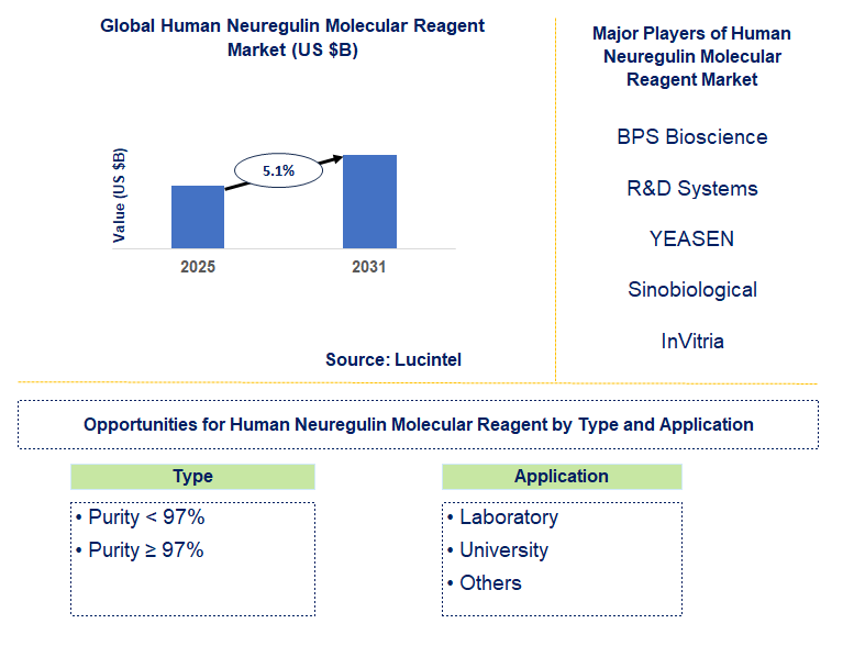 Human Neuregulin Molecular Reagent Market Trends and Forecast