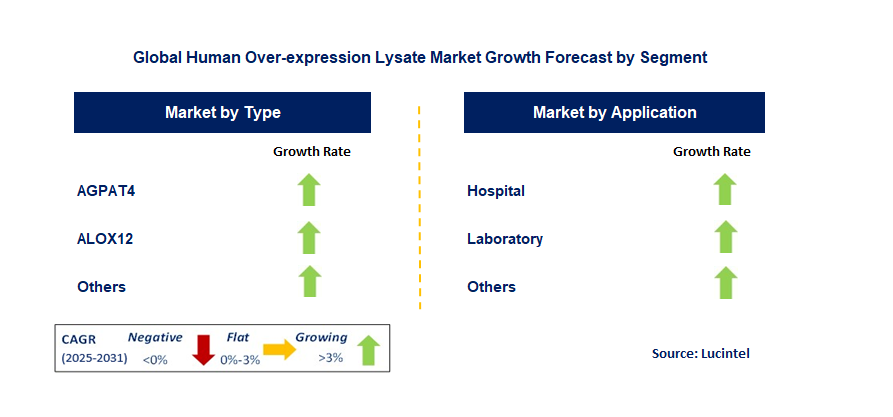 Human Over-Expression Lysate Market by Segment