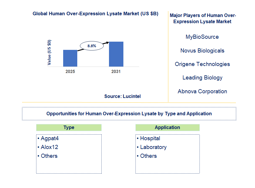 Human Over-Expression Lysate Market Trends and Forecast