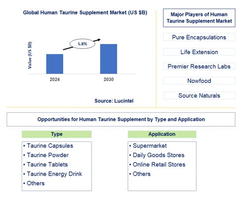Human Taurine Supplement Trends and Forecast