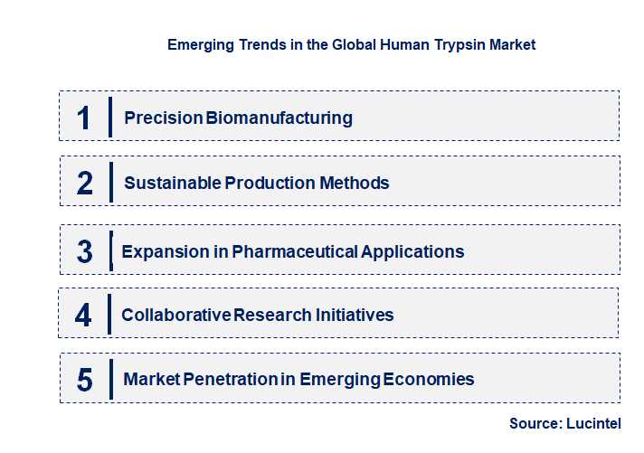 Emerging Trends in the Human Trypsin Market