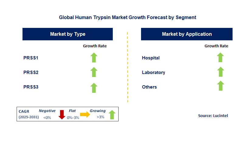 Human Trypsin Market by Segment