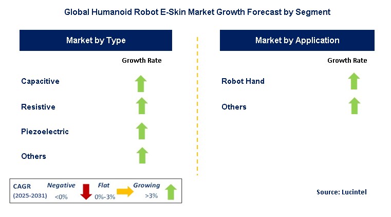 Humanoid Robot E-Skin Market by Segment