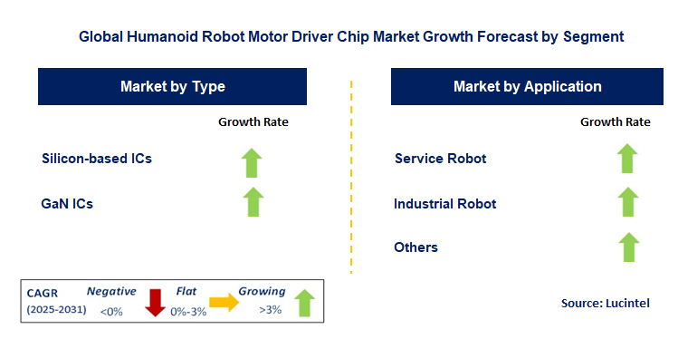 Humanoid Robot Motor Driver Chip Market by Segment