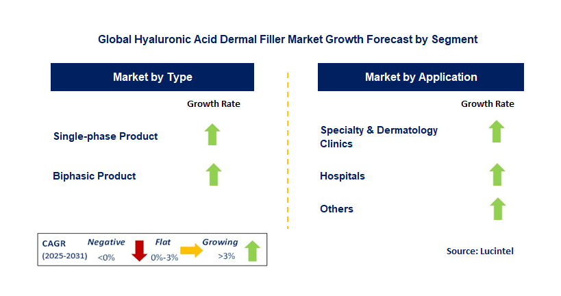 Hyaluronic Acid Dermal Filler Market by Segment