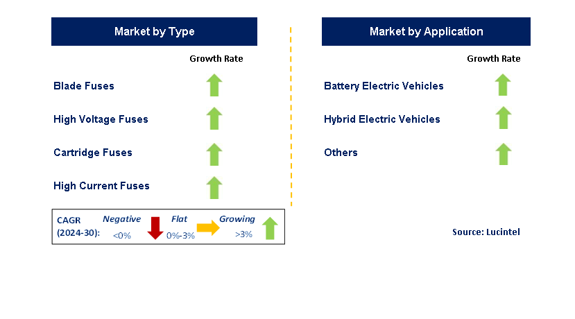 Hybrid & Electric Vehicle Fuse by Segment