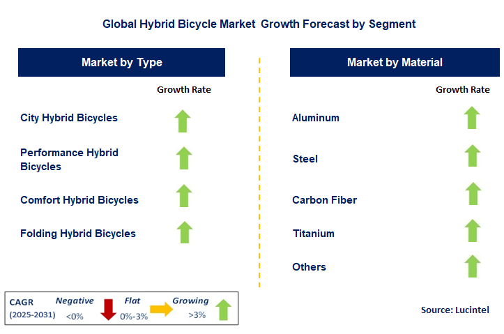 Hybrid Bicycle Market by Segment
