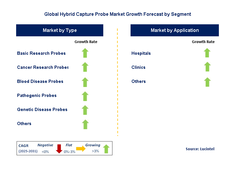 Hybrid Capture Probe Market by Segment
