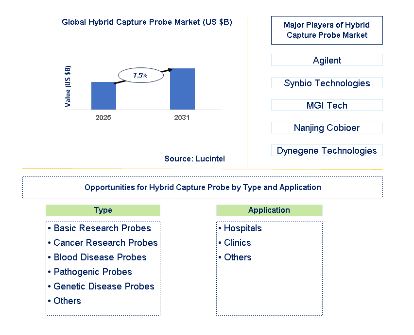 Hybrid Capture Probe Market Trends and Forecast