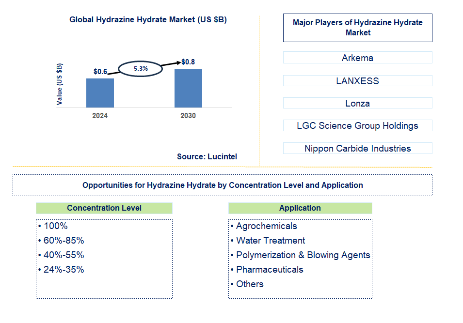 Hydrazine Hydrate Trends and Forecast