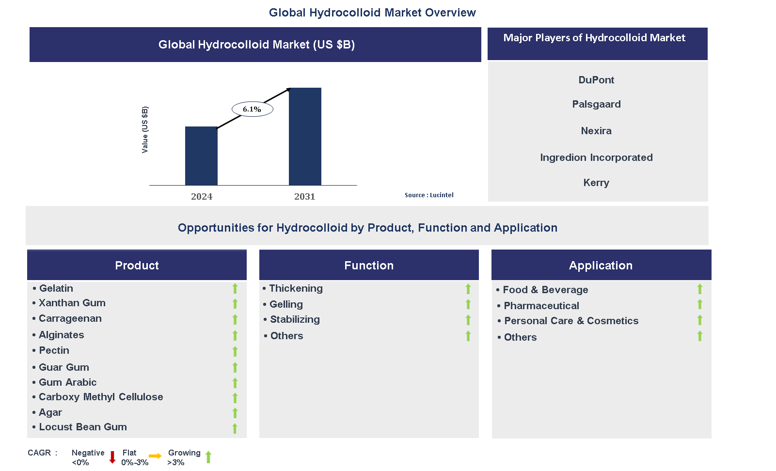 Hydrocolloid Market Trends and Forecast