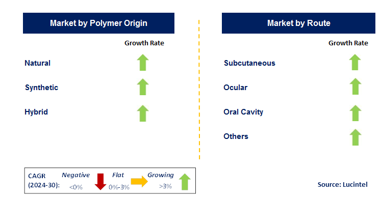 Hydrogel-Based Drug Delivery System by Segment