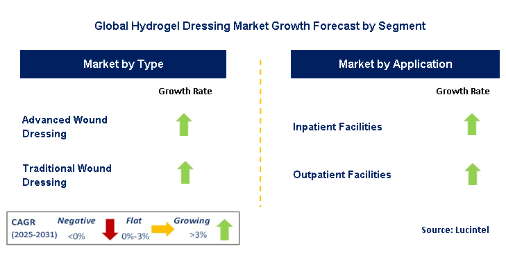 Hydrogel Dressing Market by Segment