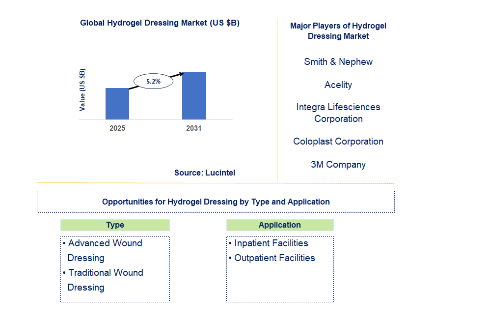 Hydrogel Dressing Market Trends and Forecast