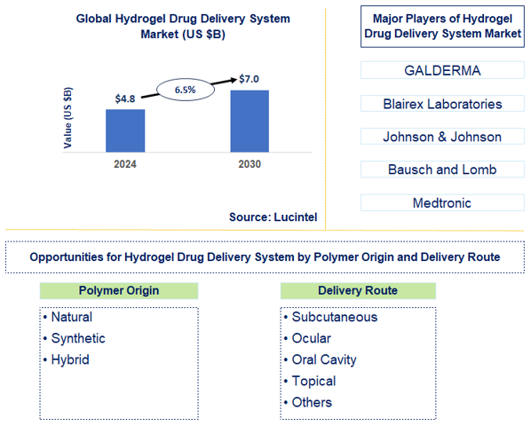 Hydrogel Drug Delivery System Trends and Forecast