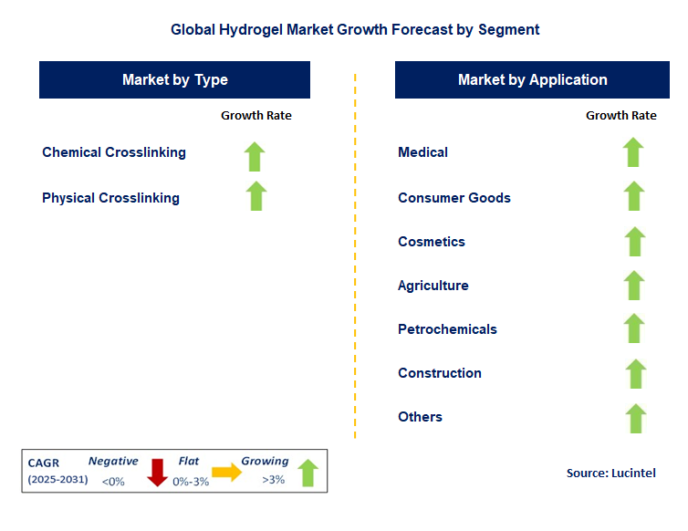 Hydrogel Market by Segment