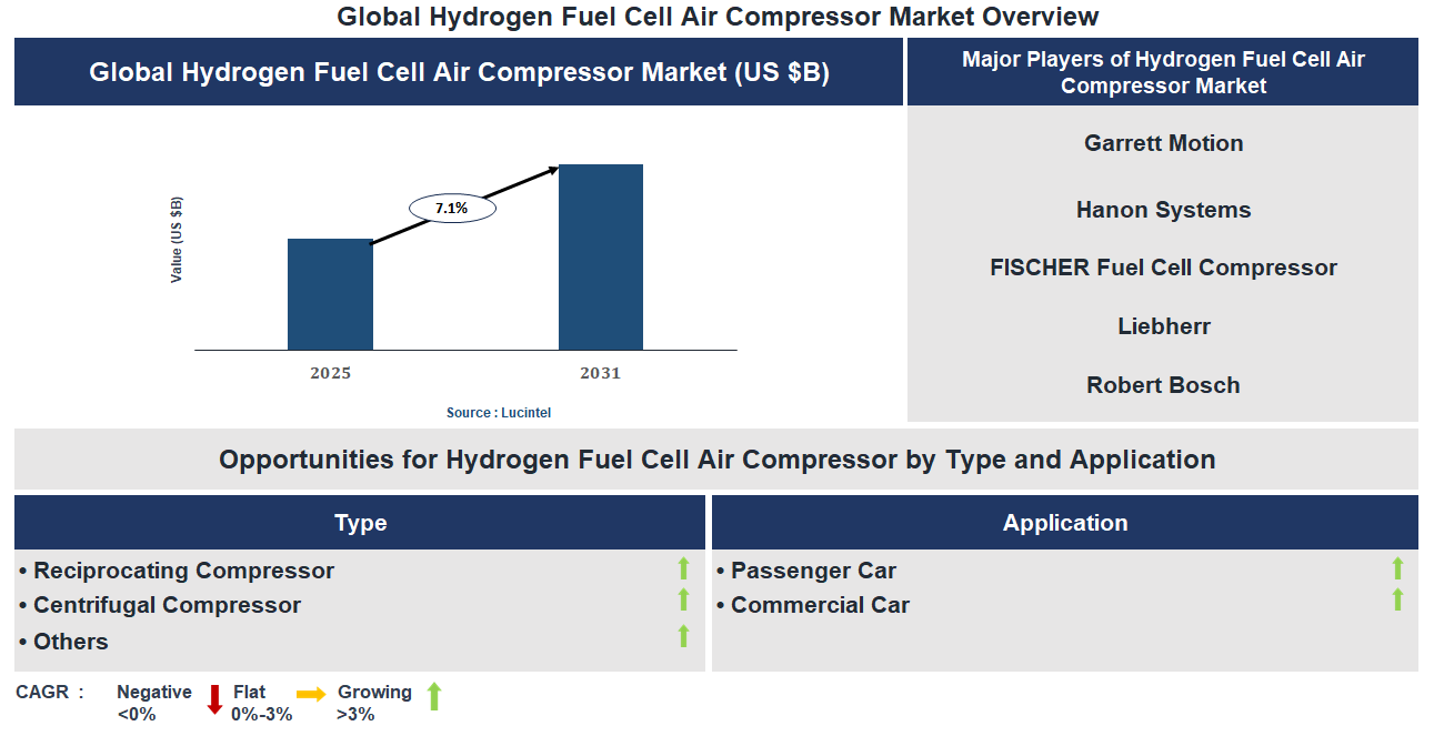 Hydrogen Fuel Cell Air Compressor Market Trends and Forecast