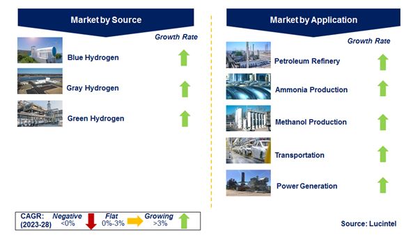 Hydrogen Generation Market by Segments