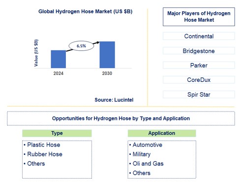Hydrogen Hose Trends and Forecast
