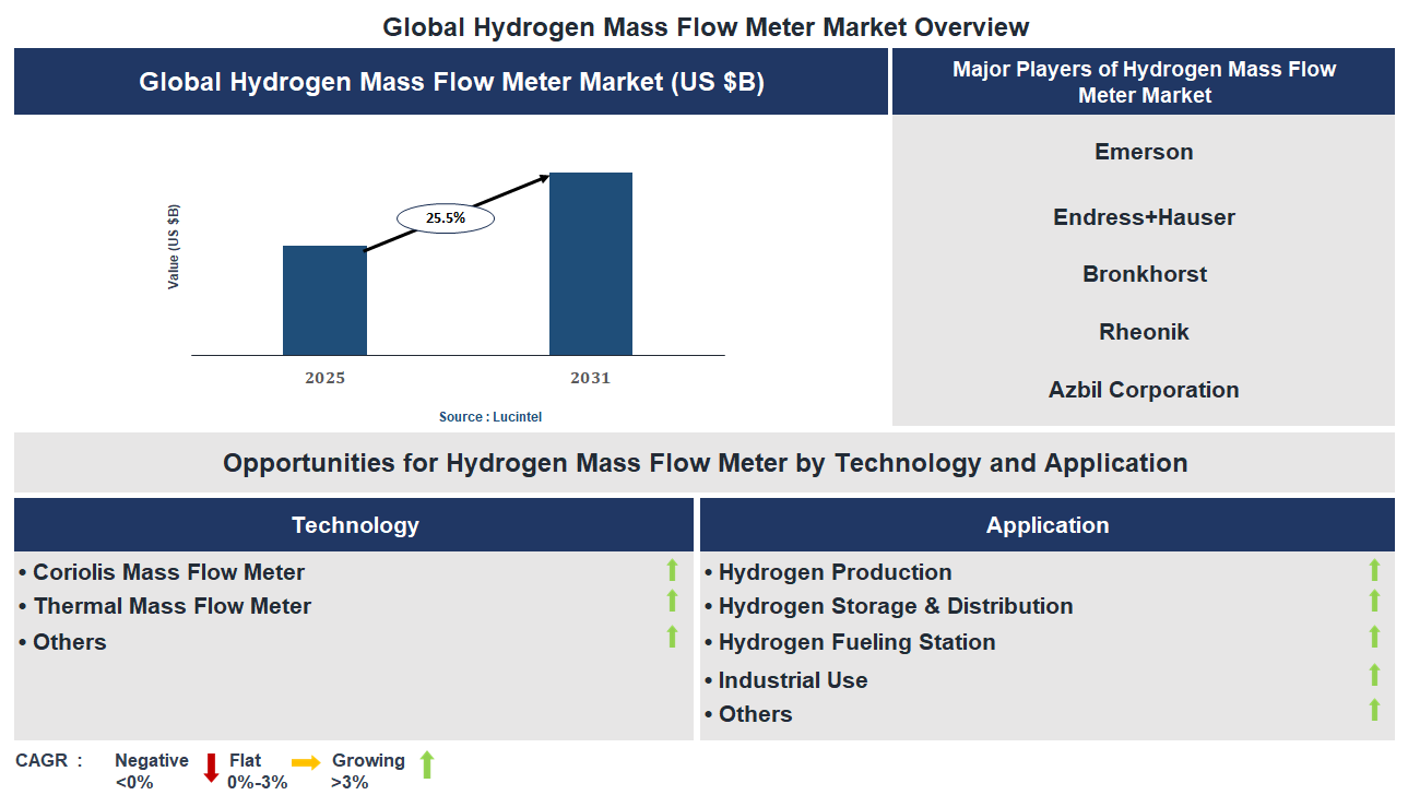 Hydrogen Mass Flow Meter Market Trends and Forecast