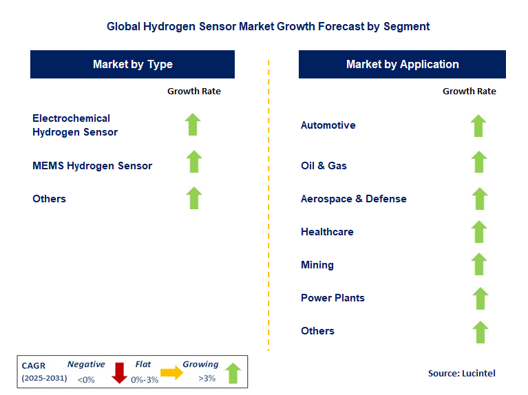 Hydrogen Sensor Market by Segment