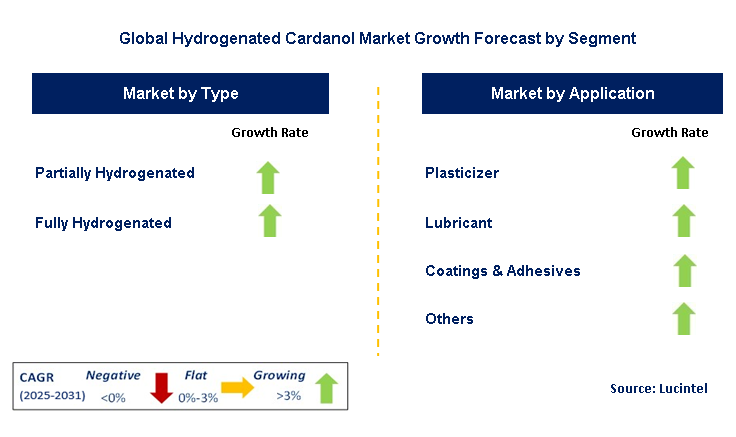 Hydrogenated Cardanol Market by Segment